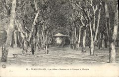 CPA Draguignan Les Allees d'Azemar et le kiosque a musique