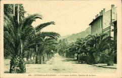 CPA Hyeres les Palmiers L'Avenue Godillot Quartier de la Gare