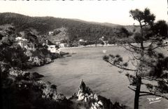 CPA Env du Lavandou Aiguebelle La Baie