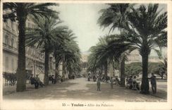 CPA Toulon Allee des Palmiers