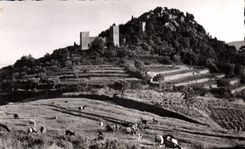 CPA Hyeres Les Palmiers Les ruines du Chateau