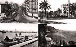 CPA Toulon Place Noel Blanche Place de la Liberte Port de peche Les flots Bleus