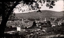 CPA Draguignan vue a travers les oliviers