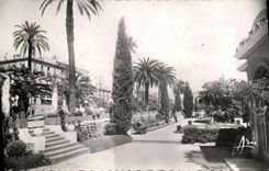 CPA Hyeres Les Palmiers Les Jardins du Musee