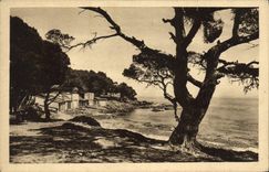 CPA Le Levandou La plage de la Faviere