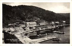CPA Ile de port Cros vue generale 