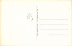 CPA Ile de port Cros vue generale 