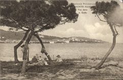 CPA Le Provence Pittoresque Saint Maxime vue dans le Golfe 