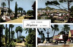 CPA Cote d'Azur Hyeres les Palmiers 