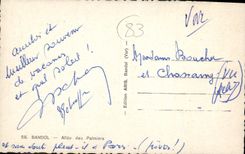 CPA Bandol Allee des Palmiers 