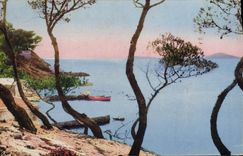 CPA Sanary Var Les Pins La Gorguette 