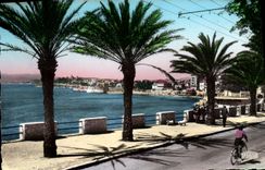 CPA Toulon Mourillon Le Boulevard du Littoral 