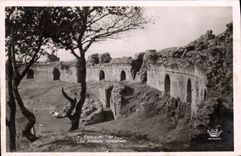 CPA Frejus Var Les Arenes romaines 