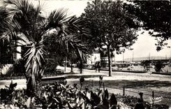 CPA La Cote d'Azur Ste Maxime sur Mer Var La Promenade 