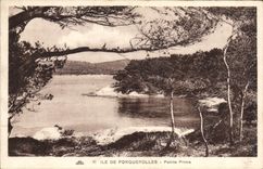 CPA Ile de Porquerolles Pointe Prime 