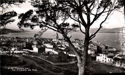 CPA Saint Tropez Var Vue a travers les Pins 