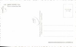 CPA Saint Tropez Var Vue a travers les Pins