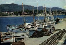 CPSM La Cote d'Azur Varoise Environs d'Hyeres Var Carqueiranne Le Port des Salettes 