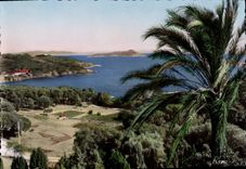 CPSM Le Littoral Mediterraneen Presqu'ile de Giens l'ile de Ribeaud Vue du Village 