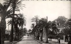 CPSM Hyeres les Plamiers Avenue Godillat 