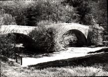 CPSM Notre belle France Vins sur Caramy Pont sur le Caramy 