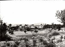 CPSM Tourtour Var Vue generale 