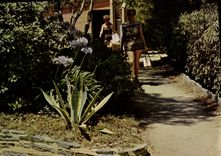 CPSM Village de Vacances du touring club de France Pramousquier 