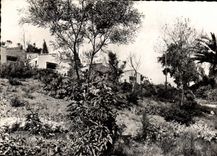 CPSM Village de Vacances du T C F Pramousquier Cap Negre Var Un coin du Village de Vacances 