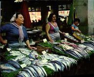 CPSM Toulon Var Le Marche aux Poissons 