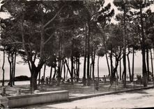 CPSM Les Issambres Village du T C F La Pinede 