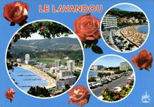 CPSM La Cote D'Azur Souvenir du Lavandou Var 