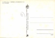 CPSM La Cote D'Azur Bormes les Mimosas Var La Faviere