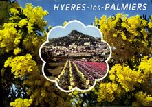 CPSM Hyeres les Palmiers Var Vue generale 