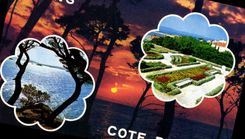 CPSM La Cote D'Azur Giens Var 