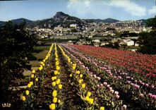 CPSM La Cote D'Azur Hyeres les Palmiers Var Vue generale 