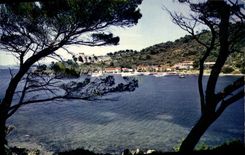 CPSM Ile de Port Gros Var Vue generale 