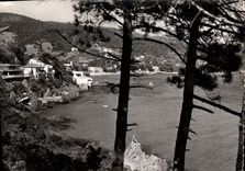CPSM La Cote des Maures Environs du Lavandou Aiguebelle Les Hotels et la Plage 