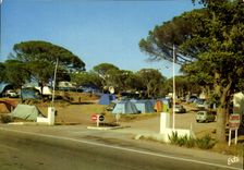 CPSM Camping Bellevue Frejus Var 