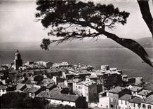 CPSM Cote D'Azur Varoise St Tropez vu de la Citadelle 