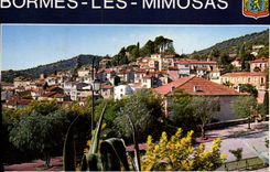 CPSM Cote D'Azur Bormes les Mimosas Var Vue d'ensemble 