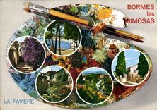 CPSM La Cote D'Azur Bormes Les Mimosas la Faviere Var 