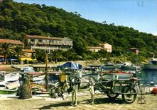 CPSM La Cote D'Azur Ile de Port cros Le petit Port 