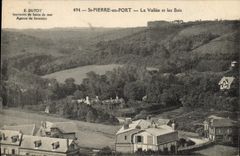 CPA St Pierre en port la vallee et les Bois 