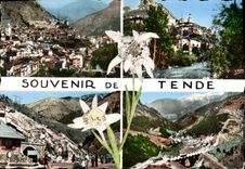 CPA Tende A M Alpes Maritimes 