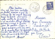 CPA La Foret de Turini A M 