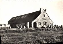 CPSM Penmarch Saint Guenole Finistere le Musee national Prehistorique 