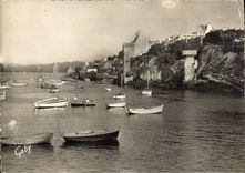 CPSM Le Conquet Finistere le port et la chateau des Seigneurs 
