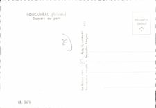 CPA Concarneau Finistere Thoniers au port 