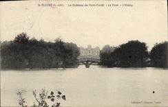 CPA Plesse L Inf Le Chateau de Pont Foret Le Pont l'Etang 