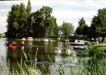 CPSM Nort sur Erdre L Atl les rives de l'Erdre port de plaisance 